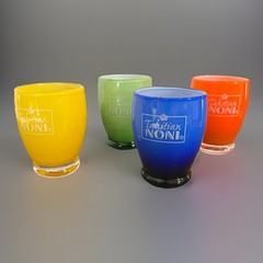 Tahitian Noni Shot Glasses Set of 4, 3 oz Colored, Measurement Markings