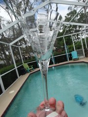 Colony Glass Clear Blown Made in Romania Wheel Cut Sandra 7oz Water Goblet VGUC