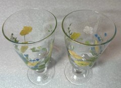 Oneida Summer Meadow iced Tea Glasses Set Of 2 READ
