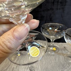 Vintage West Germany Gold Rimmed Crystal Champagne Stemware Glasses – New!