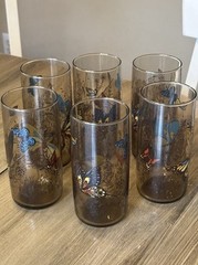 6 Libbey Tawny Garden Party Tumbler Butterfly Vntg Monarch glasses 1970’s Read