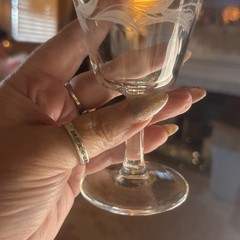 2 French VTG Cristal D’Arques Etched Laurel Leaf Parfait Glasses Silver Rim