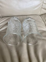 Lot 2 Vtg Tumbler Glasses Pressed Raised Clear Glass Floral Flower 2 Piece Mold