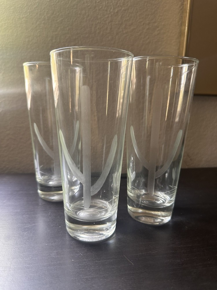 Blakely Oil Etched Cactus Highball Collins Glass AZ Etched Saguaro *Set of 3*