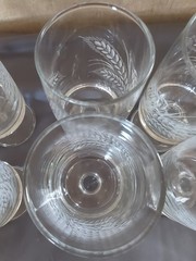 WHITE ETCHED WHEAT ON CLEAR BOWL 8 WATER GOBLETS 6″ TALL 2 1/2″ WIDE MINT