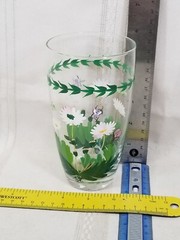 Portmeirion 18 oz Highball Water Iced Tea Tumblers Botanic Garden Hand Painted