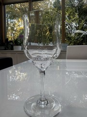 Baccarat – Capri Optic- Crystal 6 5/8 Wine Water Goblets -Excellent Set of 9