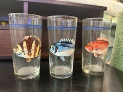 Vintage Fish Pint Glasses Set of 3 Blue Rim Fishing Nautical Coastal Barware