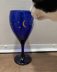 Libbey Glass Company Celestial Cobalt Blue Sun Moon Stars Water Goblet