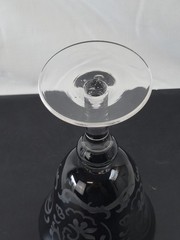 Footed Stemware Ebony Damask Elegant Etched Wine or Water Goblet