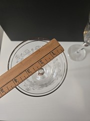 Crystal Etched Wine Goblets Set Of 4 Long Stem Silver Rim Wine Enthusiast