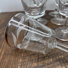 VTG Set of 5 Etched Laurel Leaf Aperitif Glasses Clear w/Silver Rims France 5”