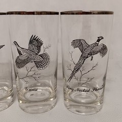 Federal Sportsman Game Birds Glasses 4 12 oz Grouse Pheasant Goose Canvasback