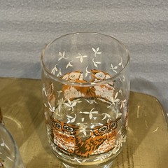Vtg Set/5 Libbey Clear Drinking Glasses With Orange/Brown/White Painted Owls 5”