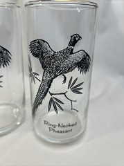2 VTG MCM «SPORTSMAN» Federal Glass Game Birds 12oz Tumblers: Ring Neck Pheasant