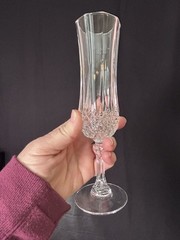 Cristal d’Arques Longchamp Champagne Flute Set 2 French Crystal Glasses 8″