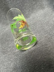 Vintage Autumn Maple Leaf Tall Tumbler 6 7/8” Glass MCM Salem China