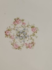Haviland Double Gold #271A Rose Swags Dinner Plates (7)