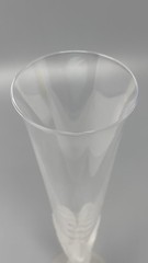 Sasaki Crystal Champagne Flute Frosted Dove Bird Wings Outstretched 9.25″ Tall