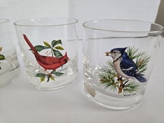 8 Vintage West Virginia Glass Co. Song Birds 3.5″ Drinking Glasses FREE SHIPPING