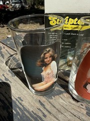 Vtg 1977 Striptease High Ball Glass Spencer Gifts Set Of 3 Bar Decor Risqué