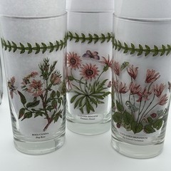 Vintage Botanic Garden Glass Tumbler Set/3-Cyclamen, Gazania & Rosa