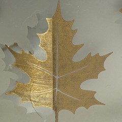 2 Pc MCM Libbey Frosted Golden Foliage Glass Carafe With a Glass VTG