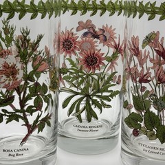 Vintage Botanic Garden Glass Tumbler Set/3-Cyclamen, Gazania & Rosa