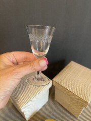 Fostoria? Etched Laurel Leaf Sherry Glass Hand Blown Vintage Delicate Price Each