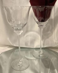 Mikasa Tulip Stem Frosted Clear 9.25” Wine Glass – Set of 2 EUC