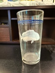 Vintage Fish Pint Glasses Set of 3 Blue Rim Fishing Nautical Coastal Barware
