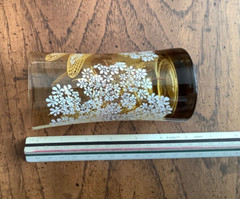 Vintage MCM Libbey Amber Dragonfly Daisy Glasses Set Of 4