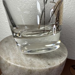 Libbey Gold Leaf Tumbler, Juice Glasses, Clear Unfrosted Gold Rim, Set of 2