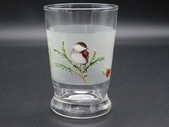 6 Pfaltzgraff Winterwood Green 6 oz Frosted Lowball Cocktail Glasses Chickadee