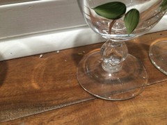 2 Vintage Libbey Franciscan apple ?Glass ice tea goblets split bulb stem Apple