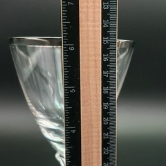 Fostoria Platinum Rimmed Wine Glasses Water Goblet 6.2 in Tall Wedding Ring