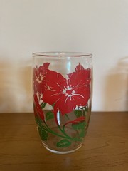Set Of 8 Vintage Anchor Hocking Red Hibiscus Drinking Glasses 4 7/8”