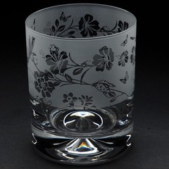 Whiskey Glass Decorated Ladybird Sandblast Animal Drink Tumbler Gift Box Animo