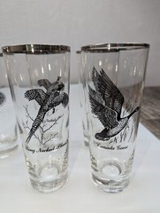 Sportsman Federal Glass Game Bird 12oz Tumblers Set of 8 Silver Top MCM Barware