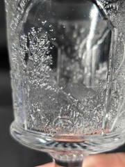 One Canadian Park Pattern Water Goblets Landscape Scenes EAPG TWO AVAILABLE