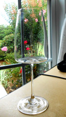 Vera Wang Wedgwood Metropolitan Wine Glass Goblet