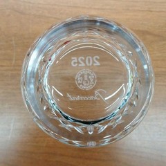 Baccarat Aria 2025 Tumbler Glasses Set of 2 Rock Old Fashioned Crystal Japan
