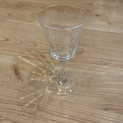 Vintage Estate Lenox Castle Garden Etched Wine Glass