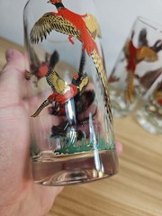 Vintage MCM Red Gold Ringneck Pheasant Tall Barware Glasses Set of 3
