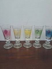 5 Peice Set Of Lubiana Color With White Flower Cordial Glasses