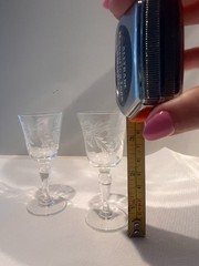 Set of Two Tiny Stemmed Wine Glasses Etched with Flowers. 4 Inches Tall Vintage