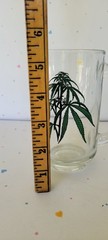 Vintage Plant Drinking Glass Heavy Sturdy Clear Novelty Cup