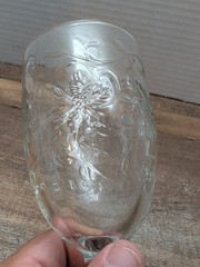 Princess House Fantasia Iced Tea Goblet 16 oz Clear Crystal Pressed Floral Glass