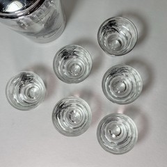 Hazel Atlas Pheasants Cocktail Shaker 6 Shot Glasses Game Birds Hunting MCM Set