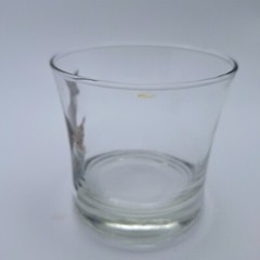 «American Wildlife» Rocks Glasses Set Of 6 West Virginia Specialty Glass Vtg Bar